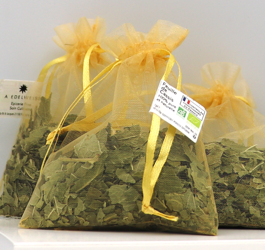 Cassis de Bourgogne (Feuilles naturels et bio)