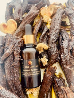 Macérat bardane – Hélichryse – huile de pépin de raisin intégral bio