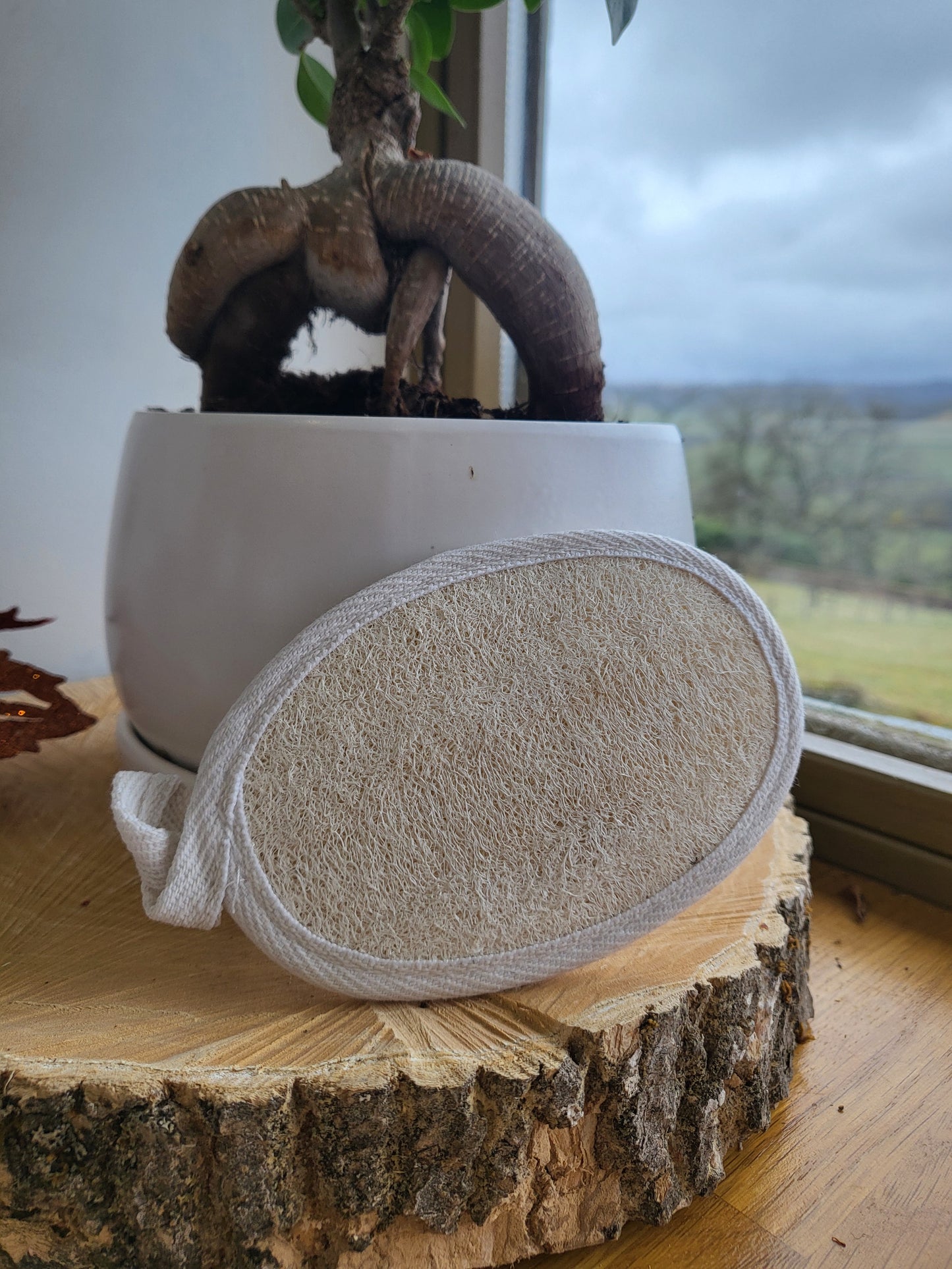 éponge en Crin – 1 Face Crin et 1 Face Coton