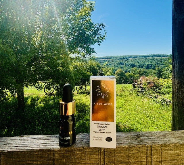 Huile Essentielle d'Origan Vert Bio HE42