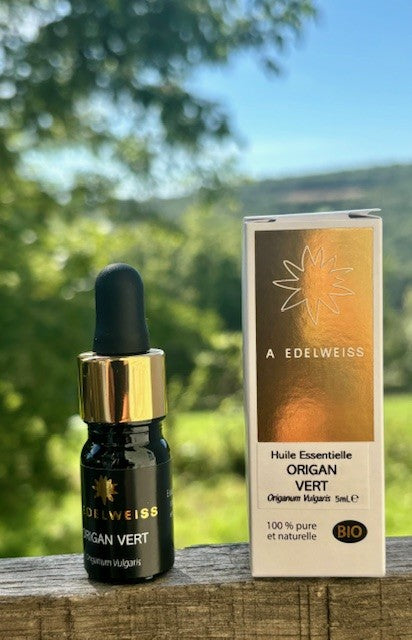 Huile Essentielle d'Origan Vert Bio HE42
