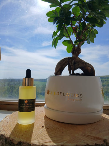 “Synergie profonde” macérat de bourgeons de cassis – feuilles de sauge officinale – fleurs d’edelweiss – huile d’argan bio