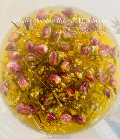 Octobre Rose d'AEdelweiss