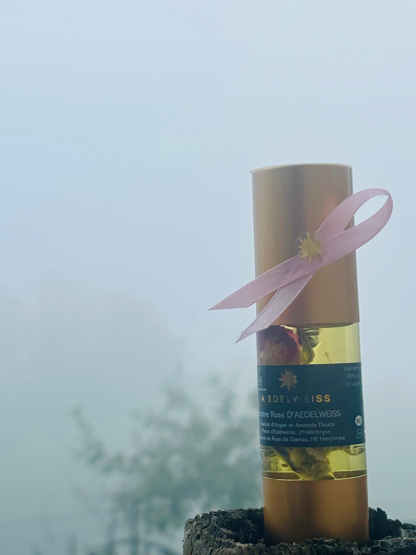 Octobre Rose d'AEdelweiss