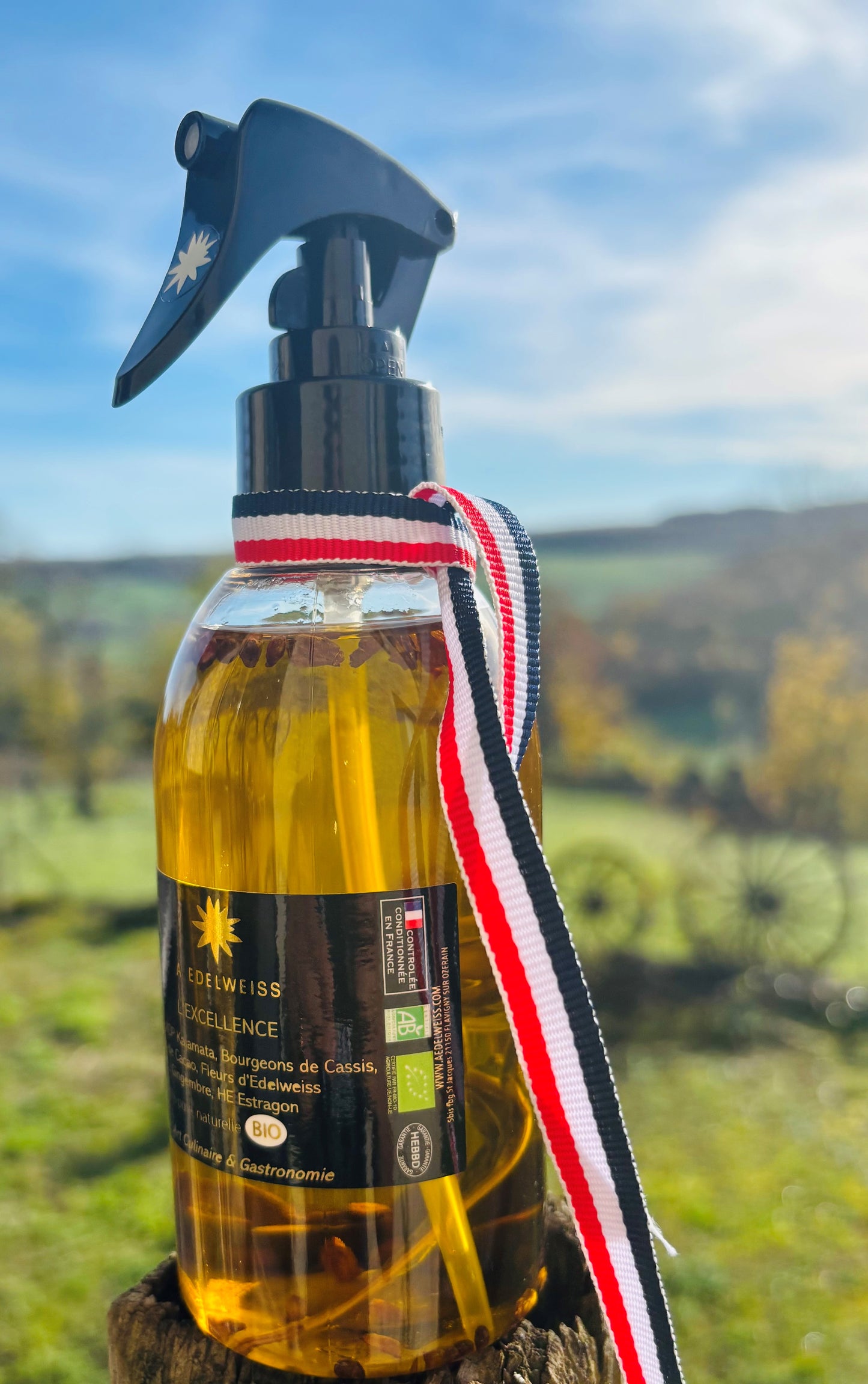 Huile de Table : L'Excellence BIO